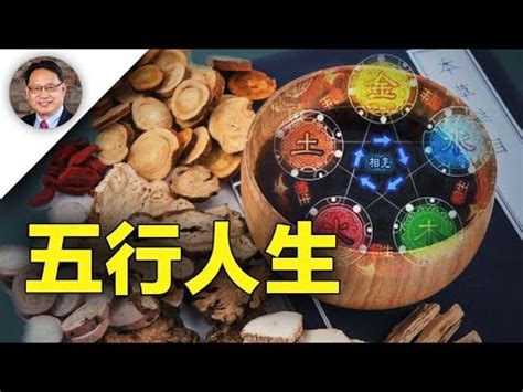 飲食業 五行|【飲食業 五行】「飲食業五行探秘！你適合經營飲食業嗎？」